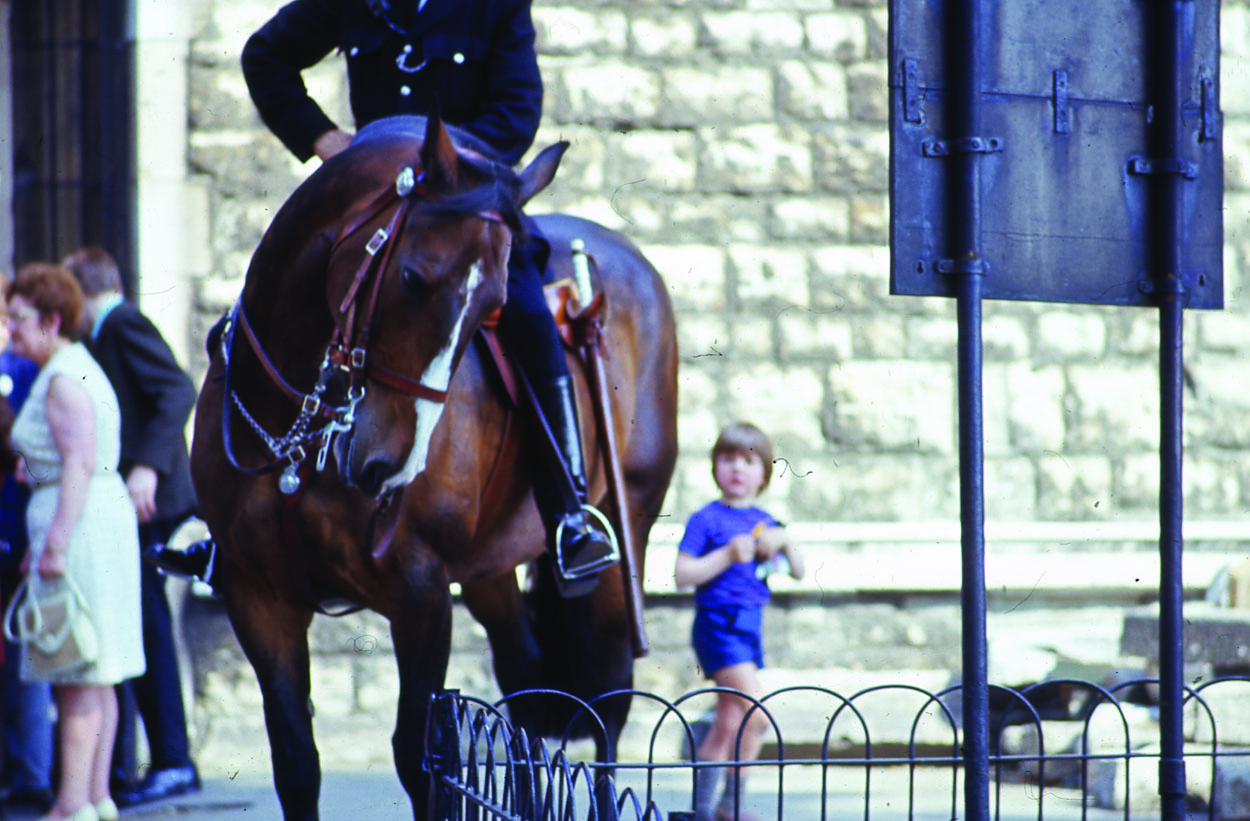 A policeman on horseback