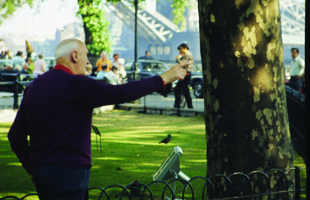 Man pointing in the park